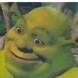 Meet your Posher, Raphaela